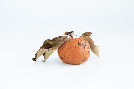 A spoiled brown apple isolated on white background.の写真素材