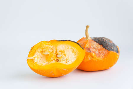 Spoiled orange pumpkin in a cut on a white background.の写真素材