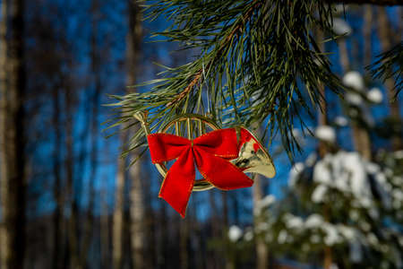 Christmas pendant toy bugle hangs on a Christmas tree branch.の写真素材