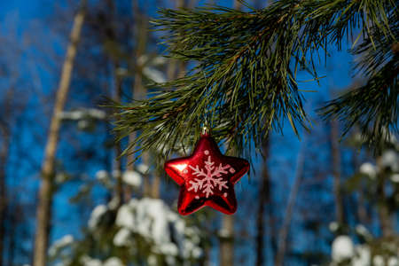 Christmas pendant toy figure star hanging on a Christmas tree branch.の写真素材
