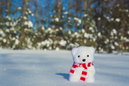 Lonely polar bear toy with a striped scarf in the snowの写真素材