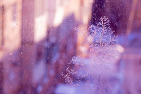 Snowflakes on the window. Winter texture.の写真素材
