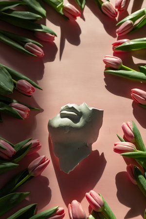 A fragment of an antique sculpture, a piece of a face on a pink background, surrounded by tulipsの写真素材