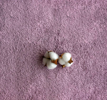 Cotton flowers on the pink towel background. Spa wellness concept.の写真素材