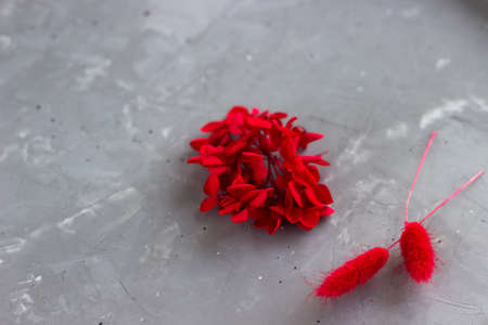 Red flowers dried of hydrangea and laguruson the concrete background. floral composition. copyspace.