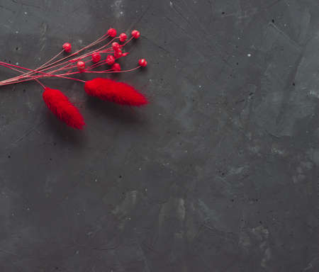 Set of red dried flowers on the dark concrete table. copyspace. home decor.の写真素材