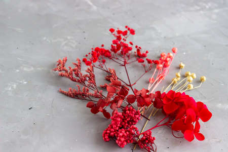 Set of red dried flowers on the concrete background. copyspace.の写真素材