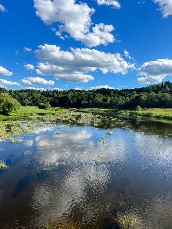 Beautiful natural scenery of river and blue sky in Moscow region, Russia. Summer landscape.