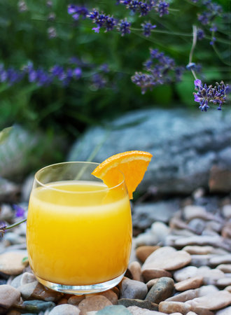 Close-up of glass of fresh orange juice garnished with a slice of ripe orange in the summer gardenの写真素材