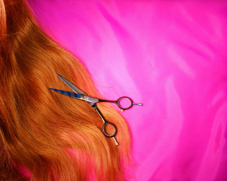 long loose hair and hairdressing scissors on a pink background. the concept of the beauty industry hairdresserの写真素材