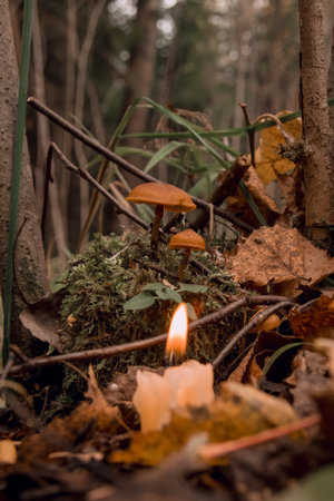 burning candle, a symbol of the moon, toadstools on green moss on a dark natural background. pagan wiccan, slavic traditions. Witchcraft, esoteric spiritual ritual.の写真素材