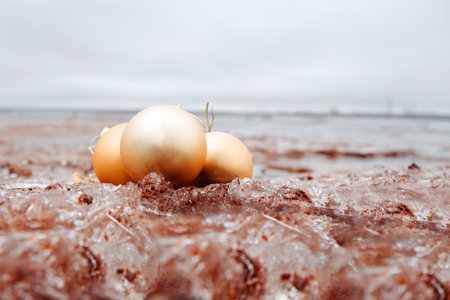 Christmas toys - golden balls on the beach, blurred sea in the background and defocused foreground. New Year or Christmas card, invitation with copy space for text.の写真素材