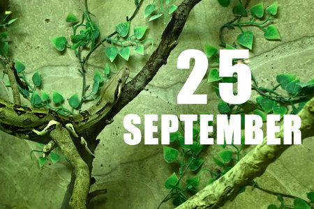 Calendar date on light green background with snake crawling on tree branch. September 25 is the...