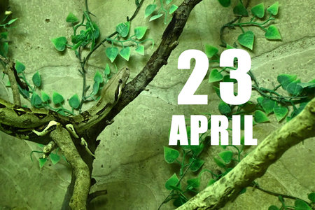 Calendar date on light green background with snake crawling on tree branch. April 23 is the...