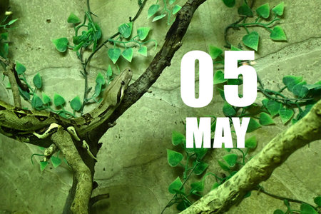 Calendar date on light green background with snake crawling on tree branch.  May 5 is the fifth  day...