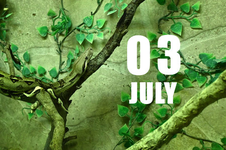 Calendar date on light green background with snake crawling on tree branch. July 3 is the third day of the month.の写真素材