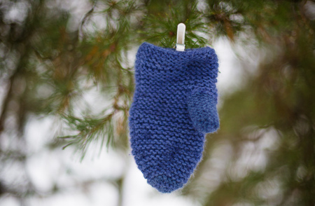 mittens hanging on a treeの写真素材