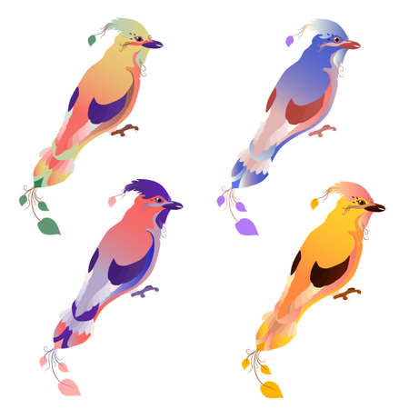 A set of ravenous birds. Isolated white background. Gradient colors of plumage. The stylized image of a bird.のイラスト素材