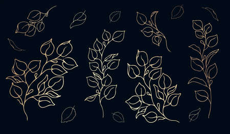 Plants line gold. Set of shiny leaves on a dark background. Vector. for print and web.のイラスト素材