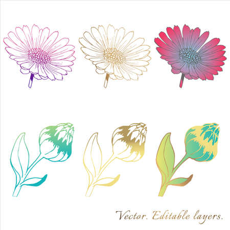 Plants line gold vectors. Collection set of botanical design elements flowers, leaves, buds.のイラスト素材