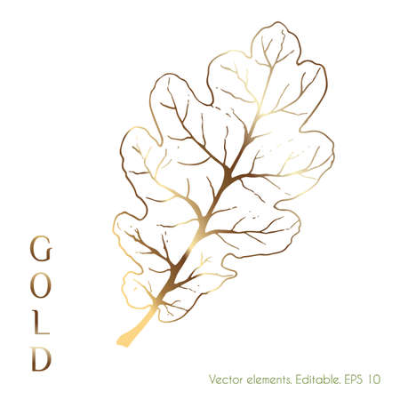 Gold leaves vector graphics for the wall. Oak Leaf. Line drawing of boho foliage with abstract shape. Abstract plant design for prints, covers, wallpapersのイラスト素材