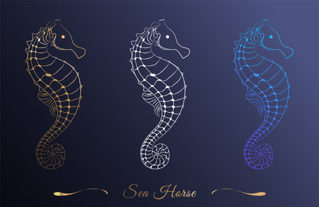 Abstract seahorse for design. Symbol, logo illustration. Silhouette icon with gradient. Vector. Illustration of isolated characters on a dark background.のイラスト素材