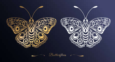 Gold and white silhouette of a butterfly in line art style on a dark background. Openwork drawing of wings. Vector illustration.のイラスト素材