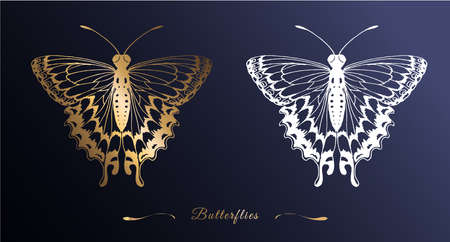 Gold and white silhouette of a butterfly in line art style on a dark background. Openwork drawing of wings. Vector illustration.のイラスト素材