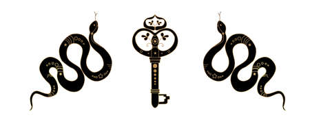 The golden snake is mystical. Golden Key. Sketchy drawing, drawing vector illustration. Fashion...