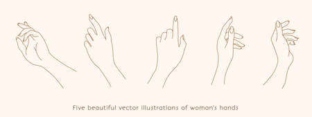 Female Hands Various Gestures Female Hands Icons Trendy Minimalistic Linear Style Isolated vector illustration. Branding.のイラスト素材