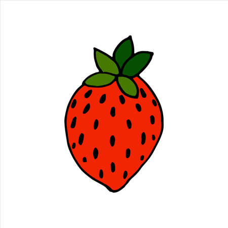Red strawberries on a white background. Isolated vector. With green leaves. Hand drawn berryのイラスト素材