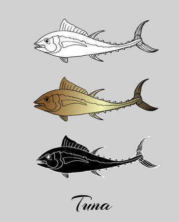 Tuna fish freehand drawing. Monochrome vector illustration on isolated background.のイラスト素材
