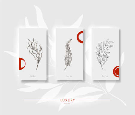 Floral minimal background. Light with red design template for flyers, brochures, greeting cards, invitations, packaging and advertising. Vectorのイラスト素材