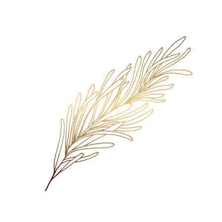 Hand drawn sketch rosemary branch isolated on white. Vector gold illustration for label, badge. Organic flavor. Culinary herbs medicinal, garden design, for cooking, food.のイラスト素材