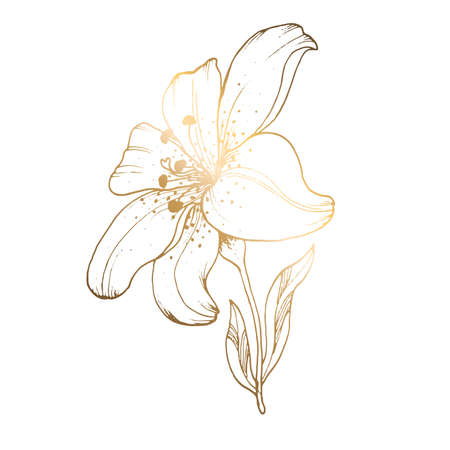 Golden lily on a white background. Line art. Handmade flower. Vector illustration. For greeting cards and invitations for wedding, birthday, Valentine s Day, Mother s Day and others.のイラスト素材