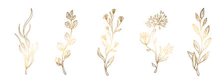 Golden leaves on a white background. Line art. Branches, handmade grass. Vector illustration. For greeting cards and invitations for wedding, birthday, Valentine s Day, Mother s Day and others.のイラスト素材