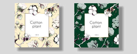 Cotton plant set. Cotton flower label. Delicate pastel shades of blue and gray. Vector illustration. 100 organic.のイラスト素材