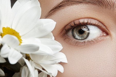 Close-up macro of beautiful female eye with perfect shape eyebrows. Clean skin, fashion naturel make-up. Good vision. Spring natural look with chamomile flowersの写真素材
