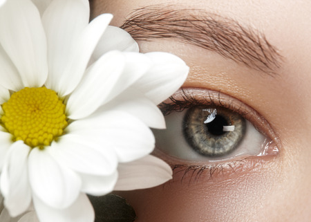Close-up macro of beautiful female eye with perfect shape eyebrows. Clean skin, fashion naturel make-up. Good vision. Spring natural look with chamomile flowersの写真素材