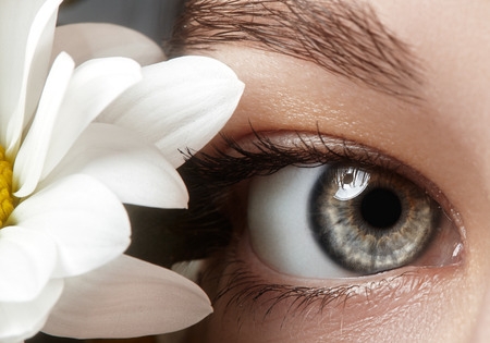 Close-up macro of beautiful female eye with perfect shape eyebrows. Clean skin, fashion naturel make-up. Good vision. Spring natural look with chamomile flowersの写真素材
