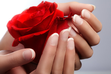 Beautiful female fingers with ideal french manicure touching red rose. Care about female hands, healthy soft skin. Spa & cosmetics. Beauty care. Close-up of beautiful famele fingers with nails polishの写真素材