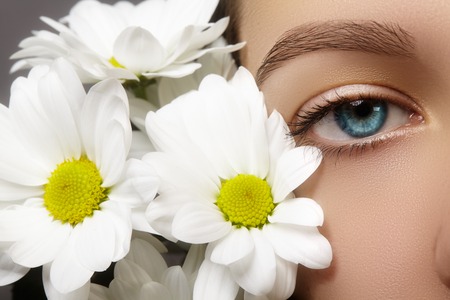 Close-up macro of beautiful female eye with perfect shape eyebrows. Clean skin, fashion naturel make-up. Good vision. Spring natural look with chamomile flowersの写真素材