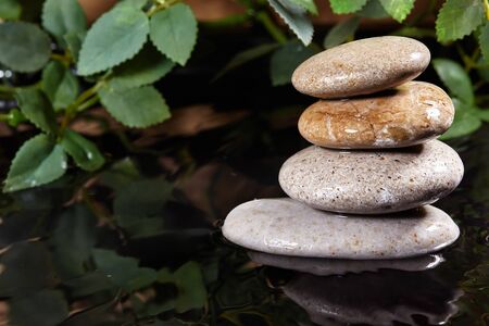 Spa Still Life with Zen Stone and Plants in Silence Serinity Water. Harmony, Relax and Health Care. Traditional Oriental Spa Concept.の写真素材
