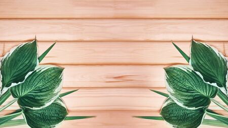 Beautiful Layout Made of Tropical Green Leaves and Empty Wooden background For Copy Space. Minimal Natural Background.の写真素材