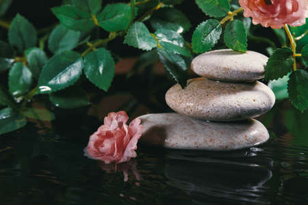 Still Life with Zen Stone, Candle and Plants in Water. Harmony, Relax and Health Care. Traditional Oriental Spa Conceptの写真素材