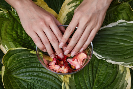 Soft female palms with natural nails surrounded by green leaves. Eco beauty, hand spa therapy, self-care and sustainable cosmetics concept. Perfect for wellness lifestyle visuals.の写真素材