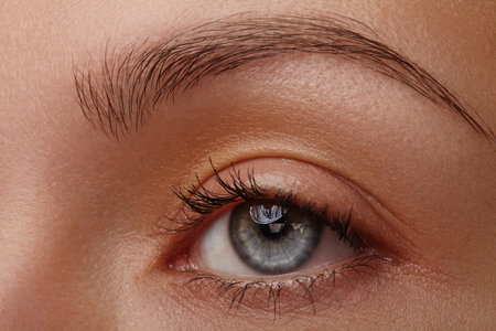 Closeup macro beauty photo of young woman eye with light iris, natural makeup and neat brow. Perfect...