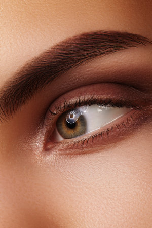Close-up of eye with soft brown makeup and perfectly shaped eyebrow, smooth texture, lashes, and gentle feminine expression. Macro for cosmetic beauty or ophthalmologyの写真素材