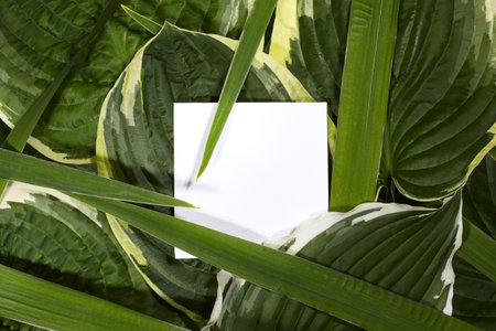 Minimal composition with white card placed among lush green tropical leaves, natural texture...