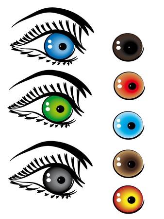  set of beautiful female eyes.Vector illustrationのイラスト素材
